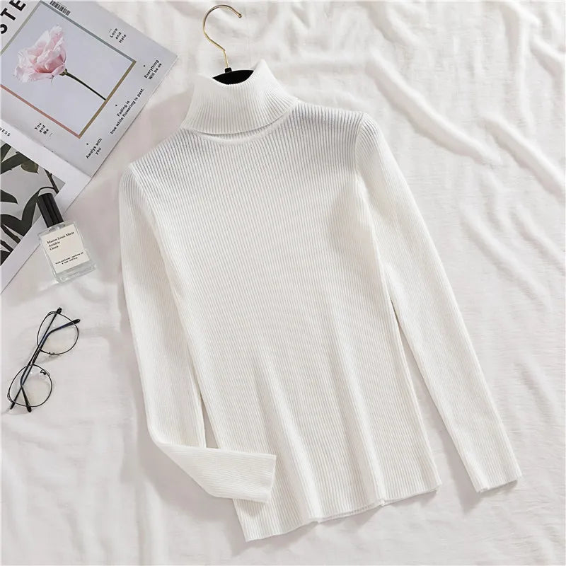 Suéter Feminino de Gola Alta